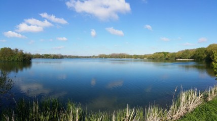 Lentewandeling: de Scheldemeersen anders bekeken